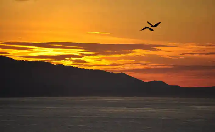Best tips to wake up at early morning